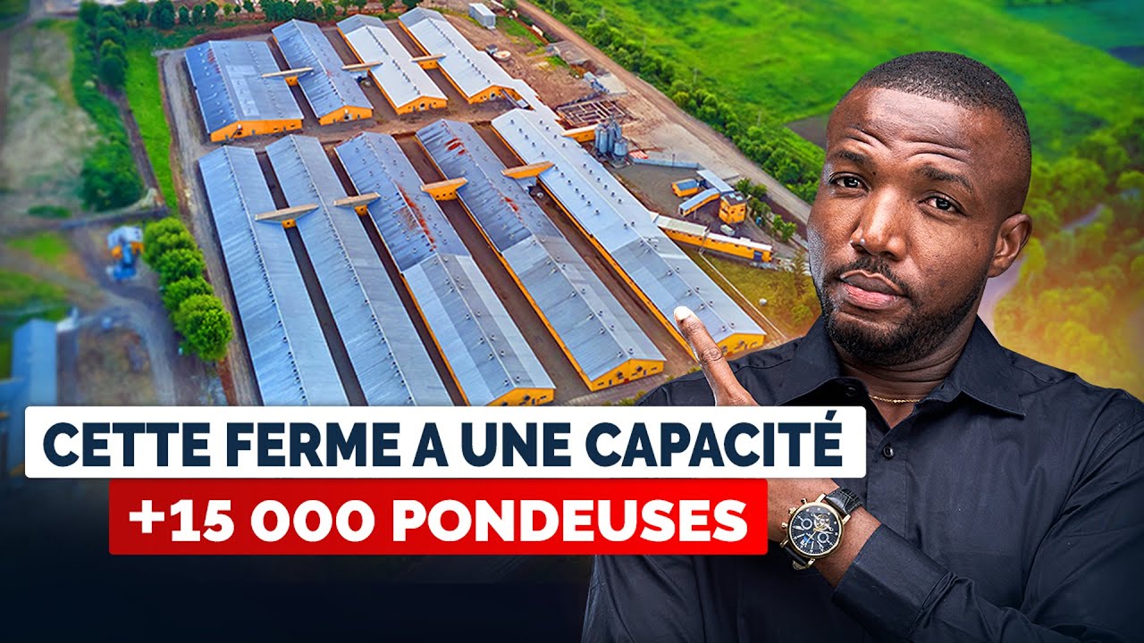 GROSSE  OPPORTUNITÉ, JE VOUS PRÉSENTE L'UNE DES PLUS GRANDES FERMES À ABIDJAN