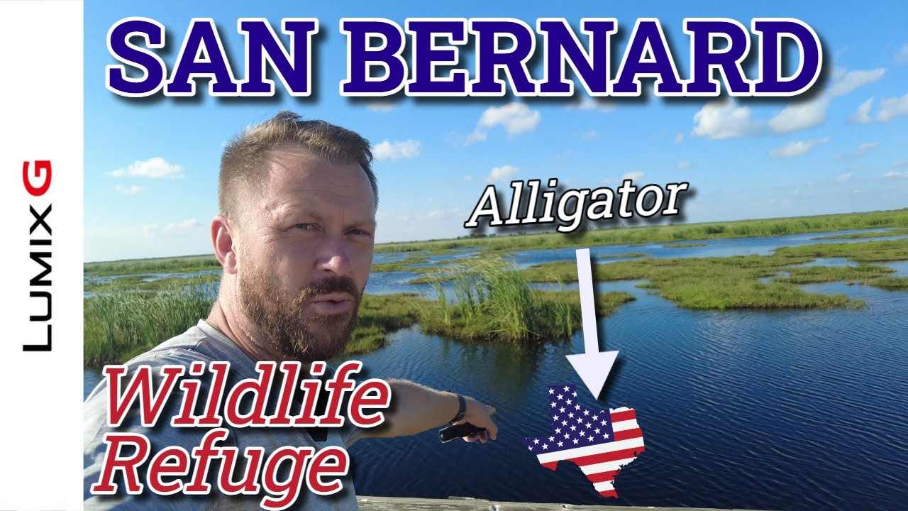 Wildlife Photography in Texas - San Bernard National Wildlife Refuge