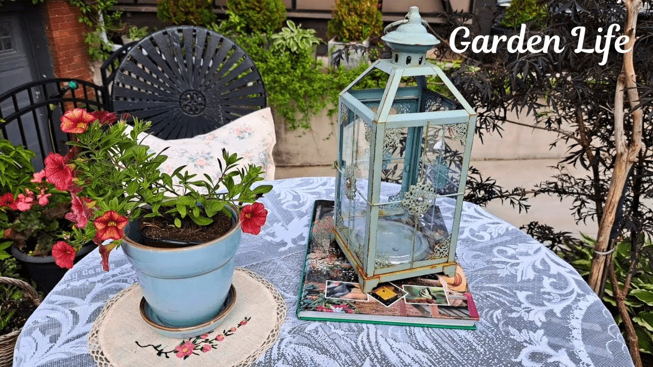 City Life Gardening | Garden Tour