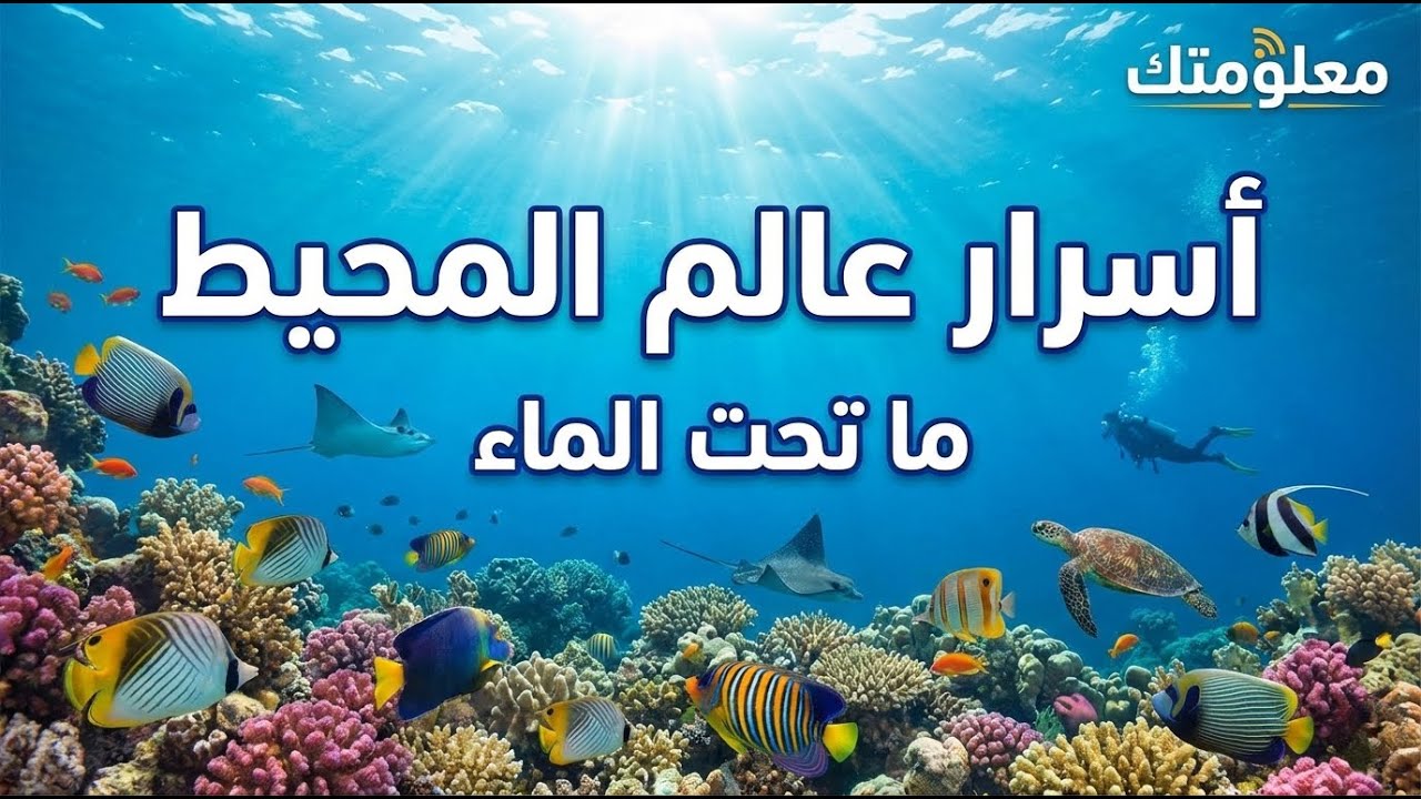 حقيقة الوحوش المختبئة: هل لا تزال القروش العملاقة تسكن أعماق المحيط؟