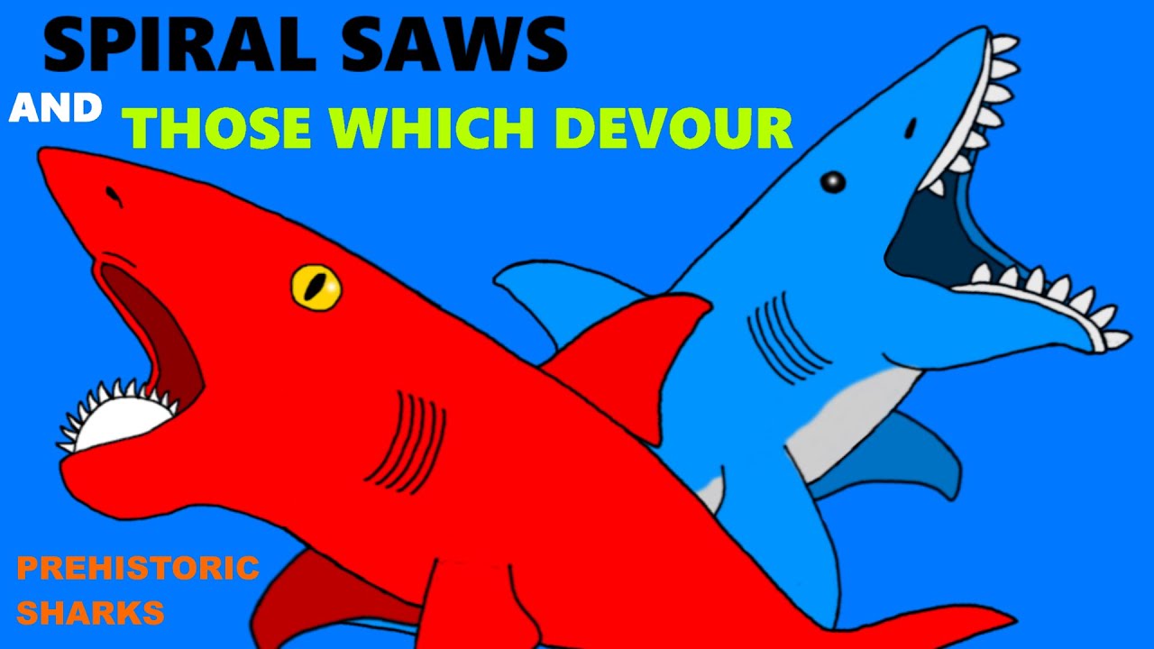 20 Prehistoric Sharks - Size Comparison - Helicoprion and Edestus