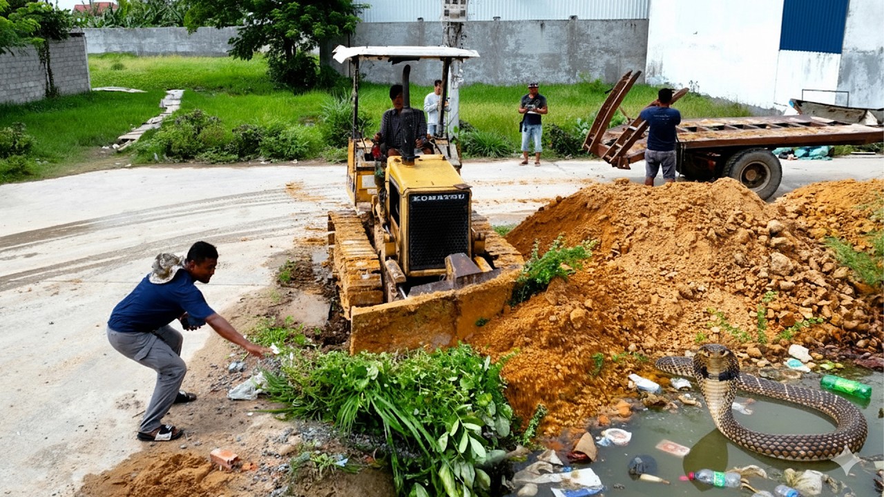 Start Opening Amazing Project! Landfill on Flooded Area Using Skills Bulldozer D20A with 5Ton Truck