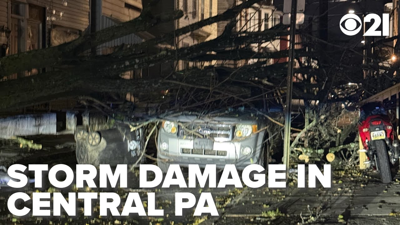 Windy weather leads to downed trees, storm damage in central PA