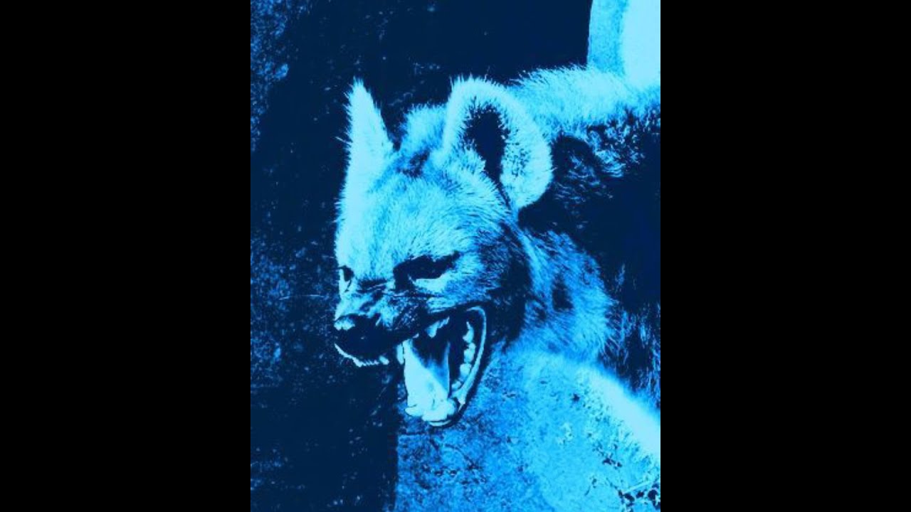 Josman x PLK Type Beat - 