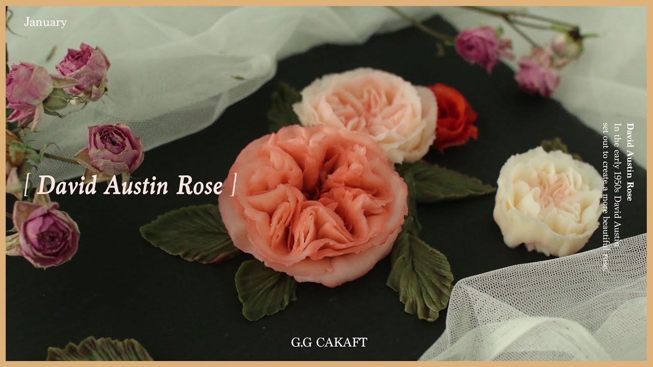 How to pipe the David Austin Rose (Korean Buttercream Flowercake )