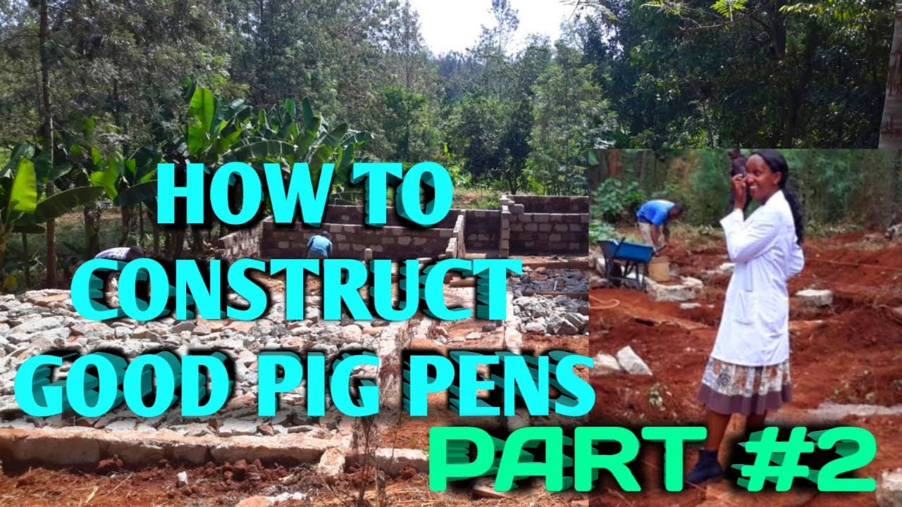 HOW TO CONSTRUCT GOOD PIG PENS || MUTHONI THE PIG FARMER