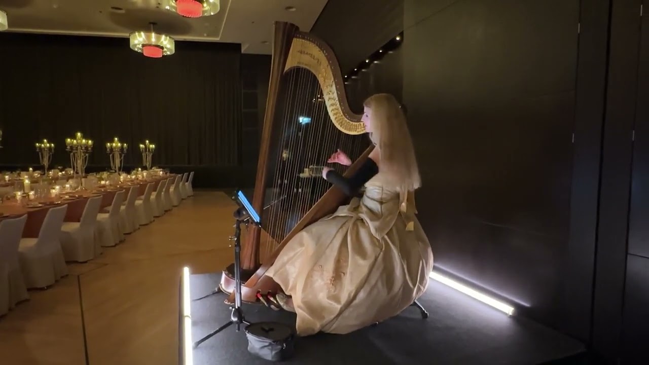 Harfe klassisch oder modner - E - Harfe Harpist for  cocktailreception alos e harp rock pop