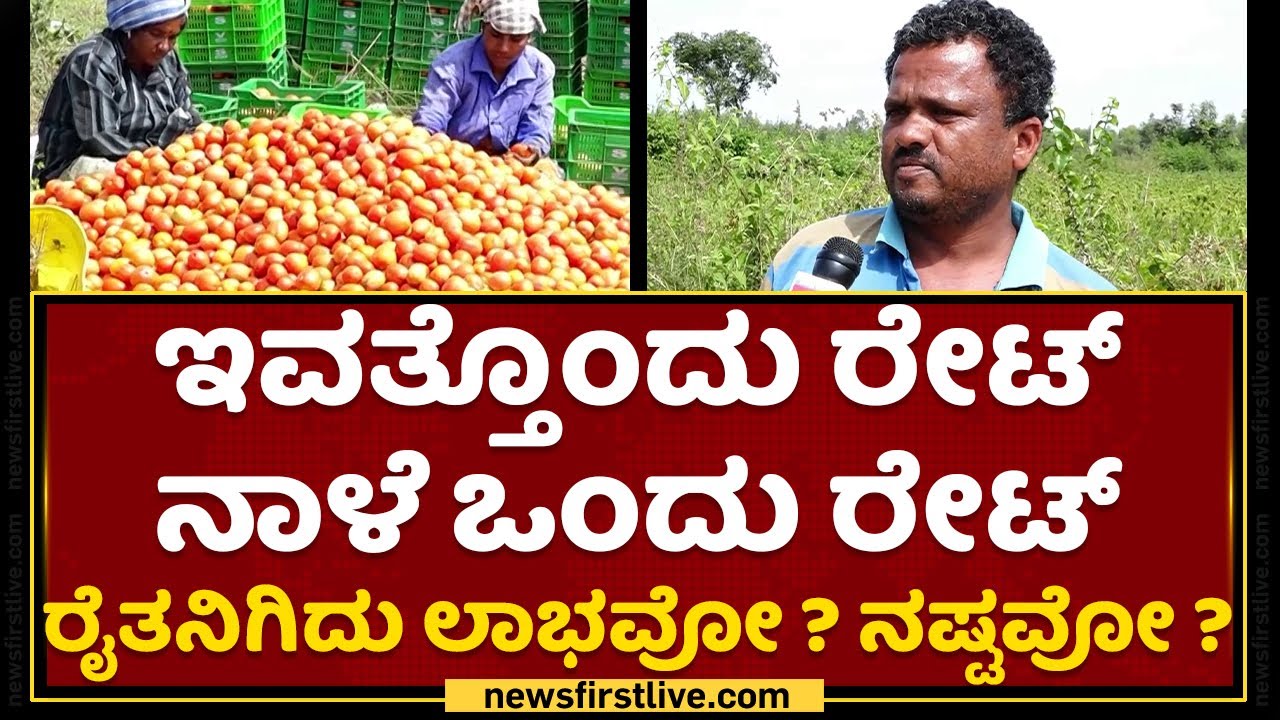 Tomato Price In Karnataka | ನ್ಯೂಸ್ ಫಸ್ಟ್​ ರಿಯಾಲಿಟಿ ಚೆಕ್​ನಲ್ಲಿ ಅನ್ಯಾಯದ ಅಸಲಿಯತ್ತು | NewsFirst Kannada