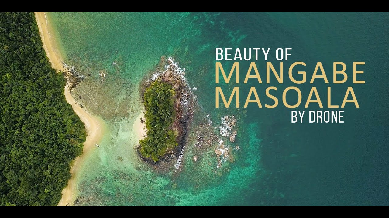 Beauty Of Madagascar #14 Mangabe Masoala