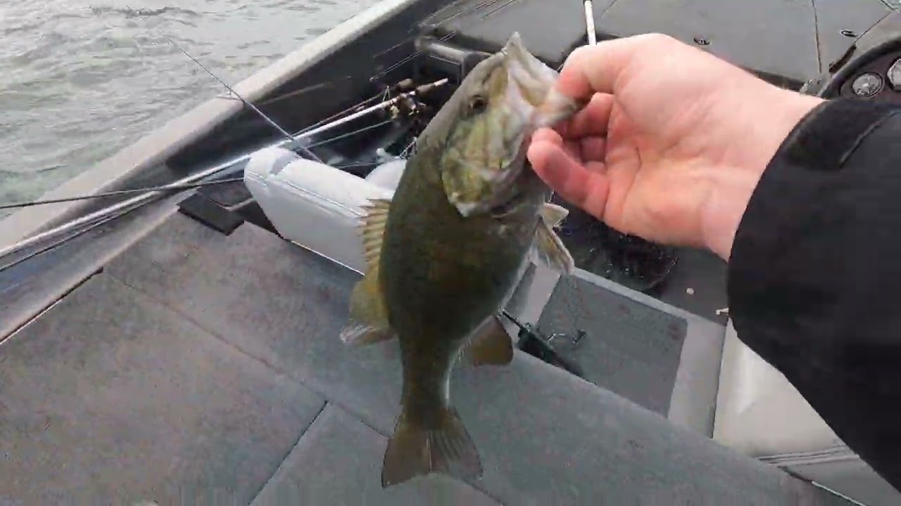 Pre Spawn bite still good on Lake James!!  3rd place in tournament with 14.72.