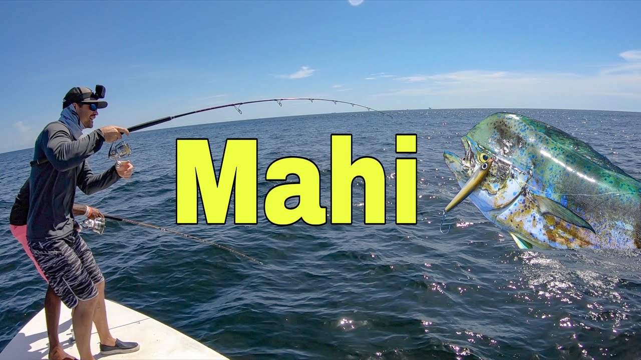 Mahi MAYHEM!