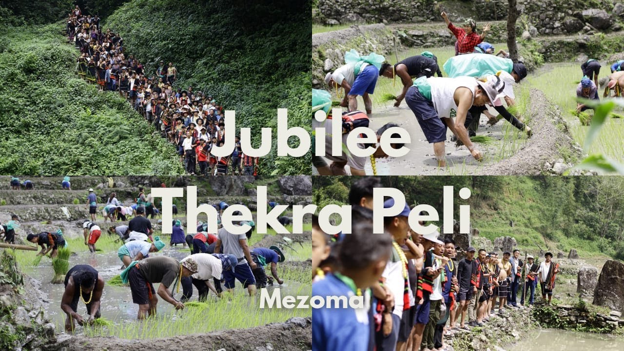 From Prayer to Paddy 🌾 | Mezoma MHCC Golden Jubilee Begins with Thekra Peli 2025/ Kohima district