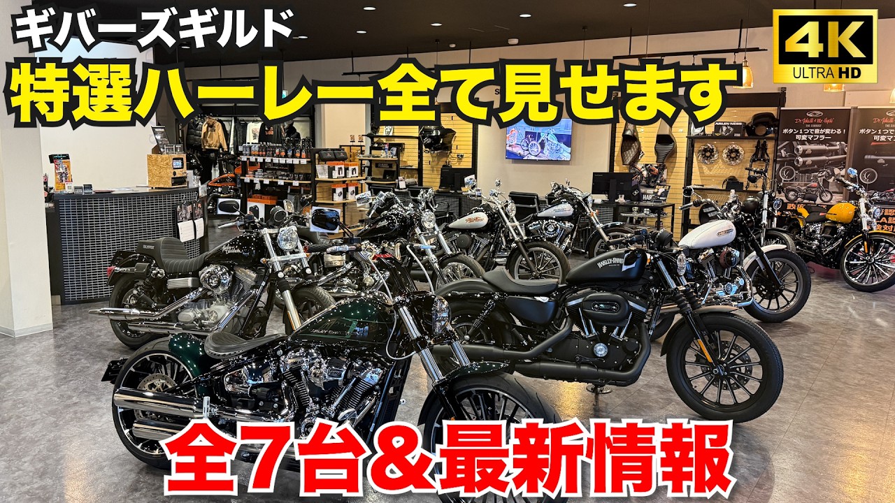 ギバーズギルド販売車両7台全て見せます‼️ハーレーダビッドソン特選中古車多数‼️26年3月26日撮影#harleydavidson