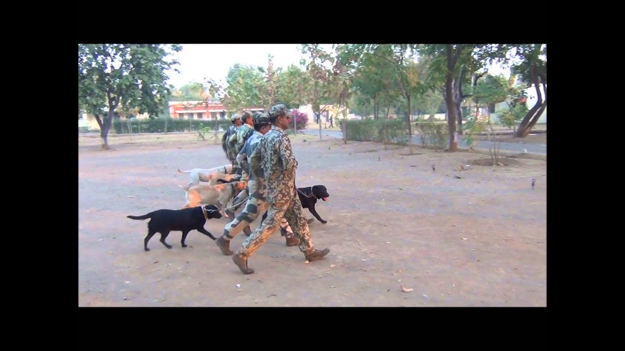 A day at NTCD