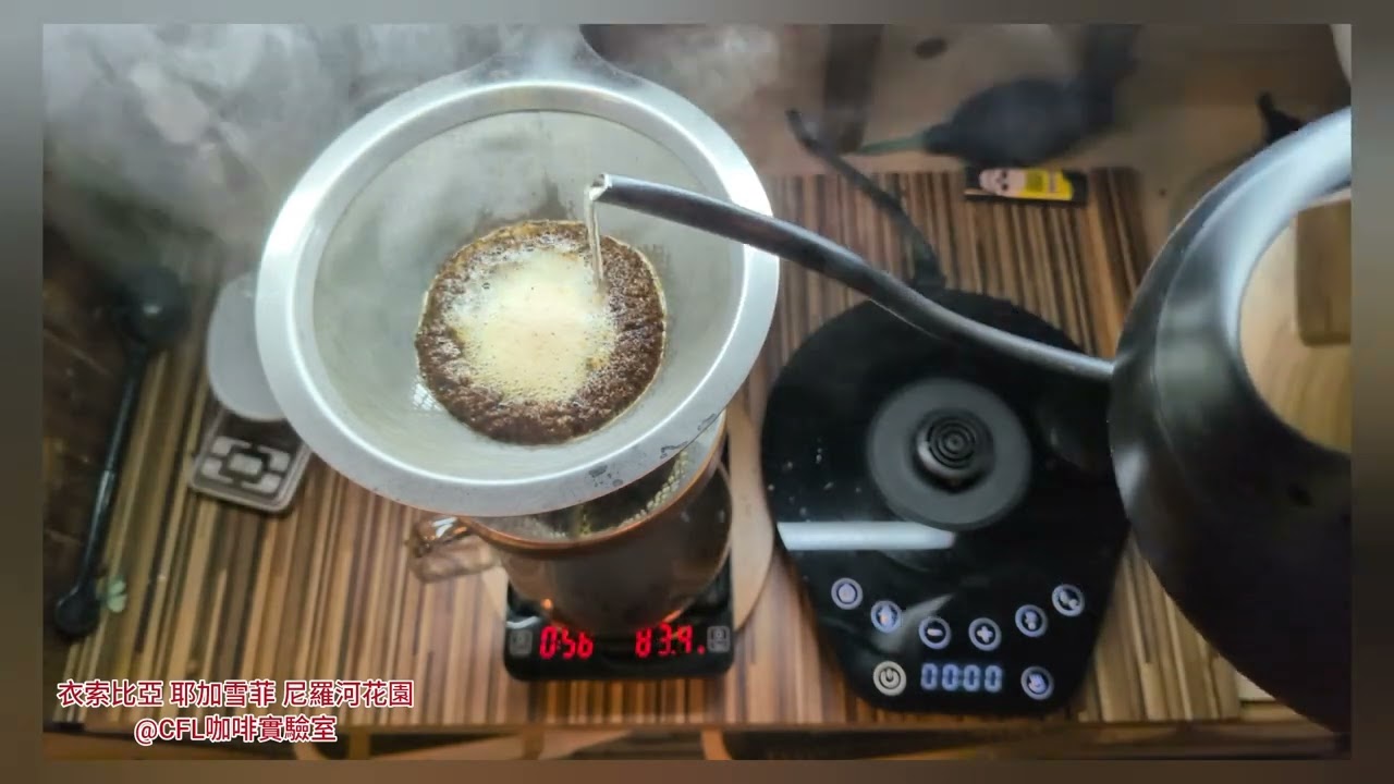 衣索比亞 耶加雪菲 尼羅河花園@CFL咖啡實驗室