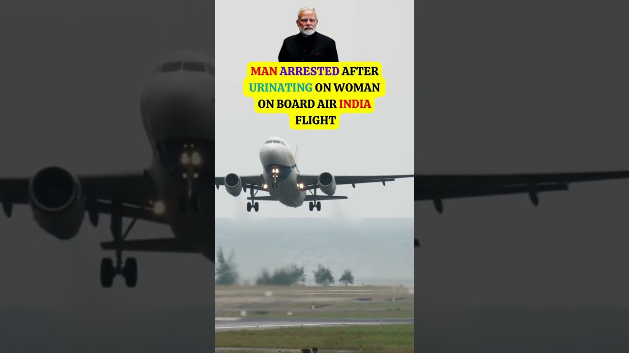 Man arrested after urinating on woman on board Air India flight