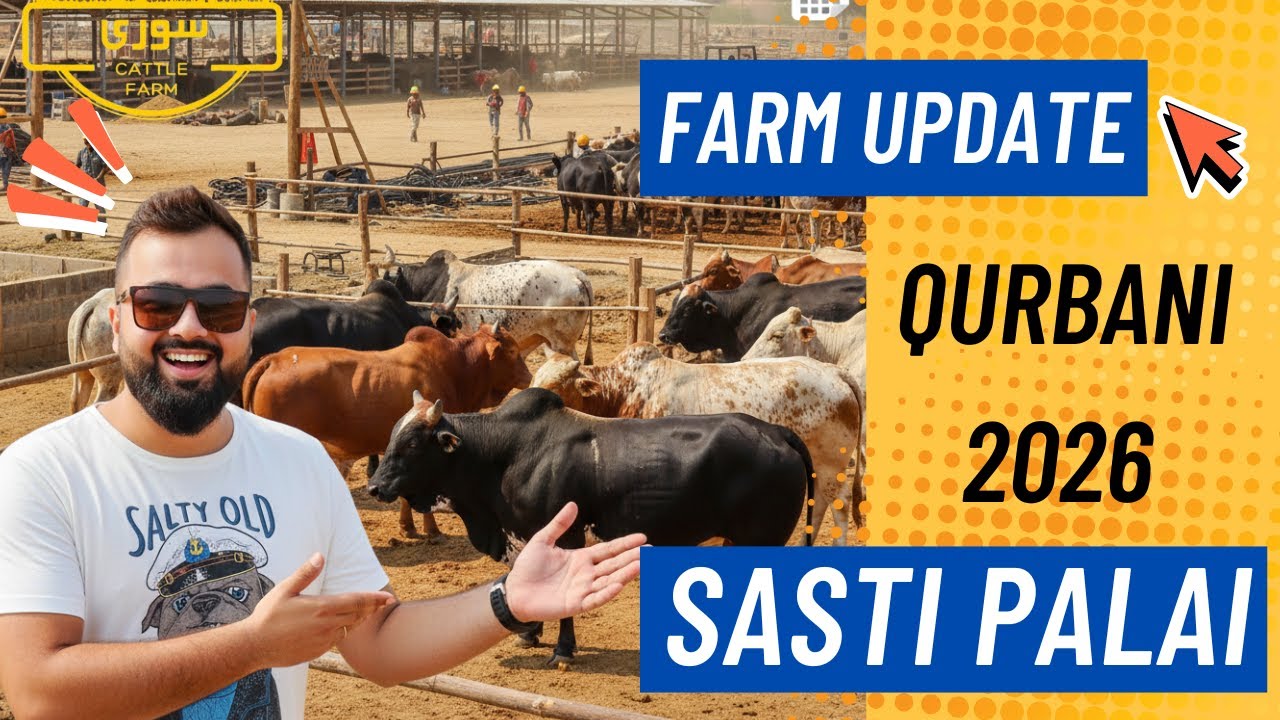 The Farm is Changing Fast! | SASTI PALAI AT SOORI CATTLE FARM