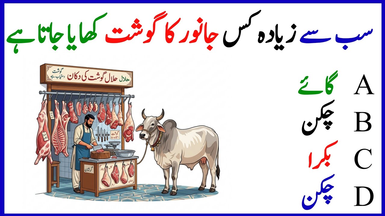 Top GK Questions||GK MCQs in Urdu||General Knowledge||GK Brain Test