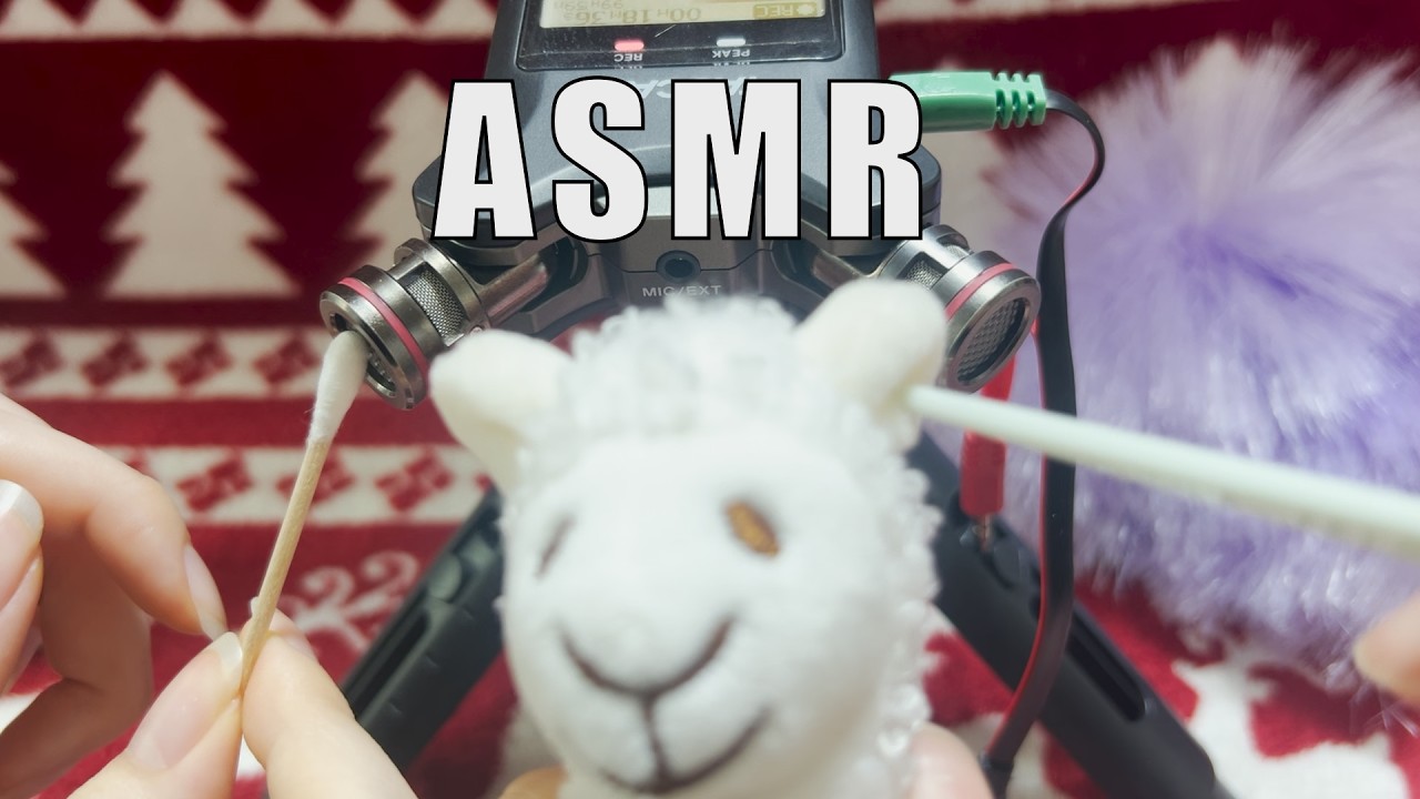 ASMR 고인물의 asmr도전기  마이크 테스트 영상 (with 언니)