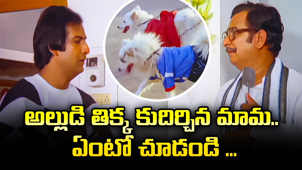 అల్లుడి తిక్క కుదిర్చిన మామ.. ఏంటో చుడండి ... | Manasu Mamatha | ETV