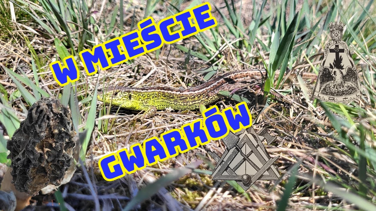 Dzień w MIEŚCIE GWARKÓW z GWARKIEM W PODRÓŻY [Tarnowskie Góry]
