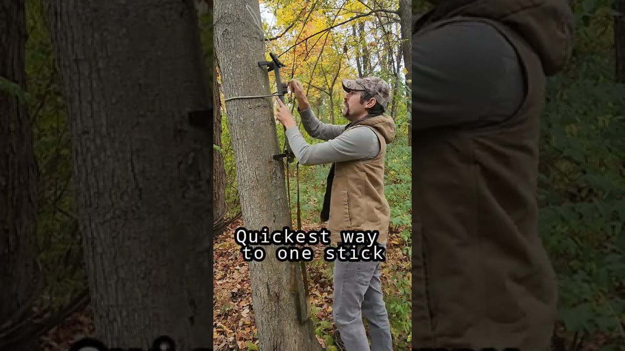 Quickest way to climb a tree saddle hunting! DIY One Stick Lightest,cheapest, climbing stick #shorts