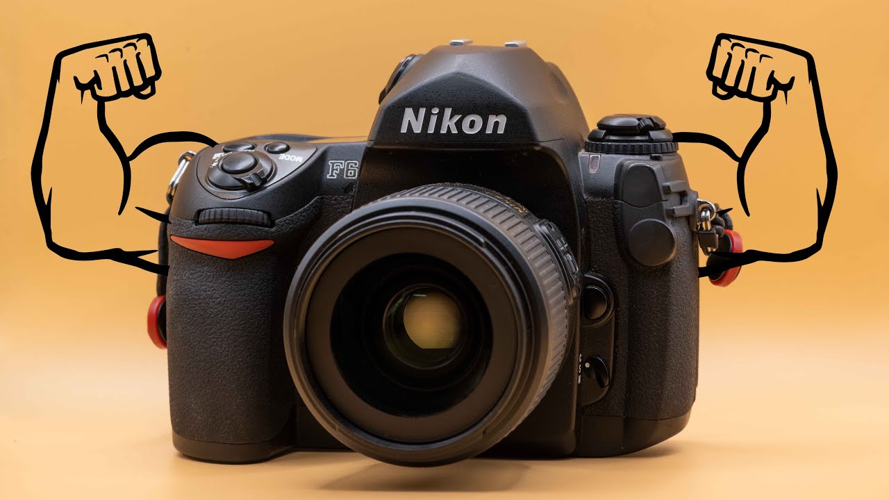 Nikon F6 // новая любовь