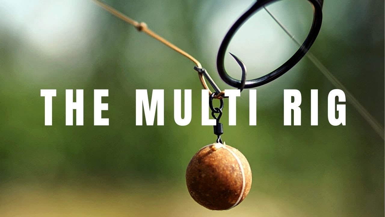 Master the MULTI RIG for bottom bait, wafter, popup + QUICK hook change