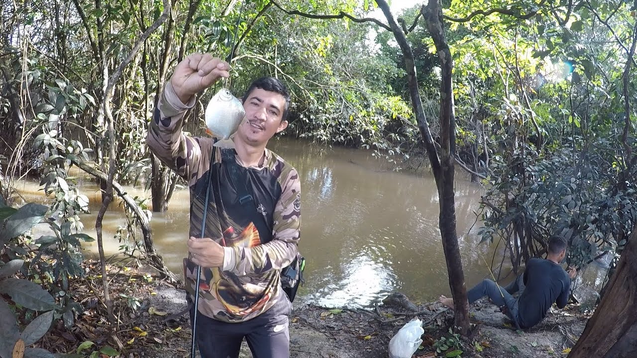 Eu nunca imaginei que esse lugar teria tanto peixe assim.