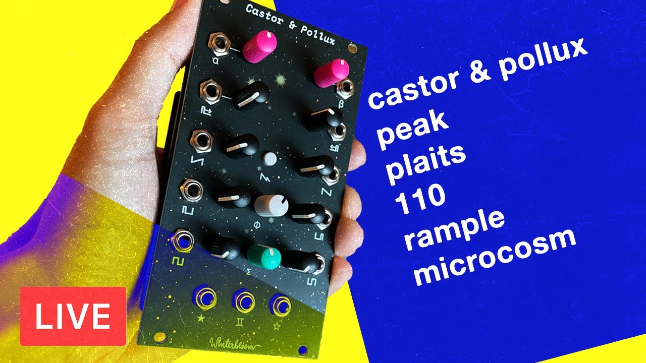 Winterbloom Castor & Pollux w/ Friends (Plaits, Peak, Rample, Microcosm, Databender, Behringer 110)