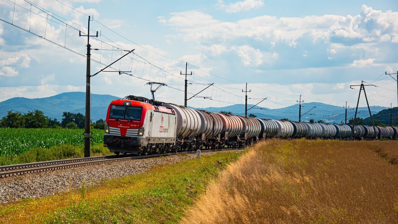 Pociągi Kamieniec Ząbkowicki lato 2025 