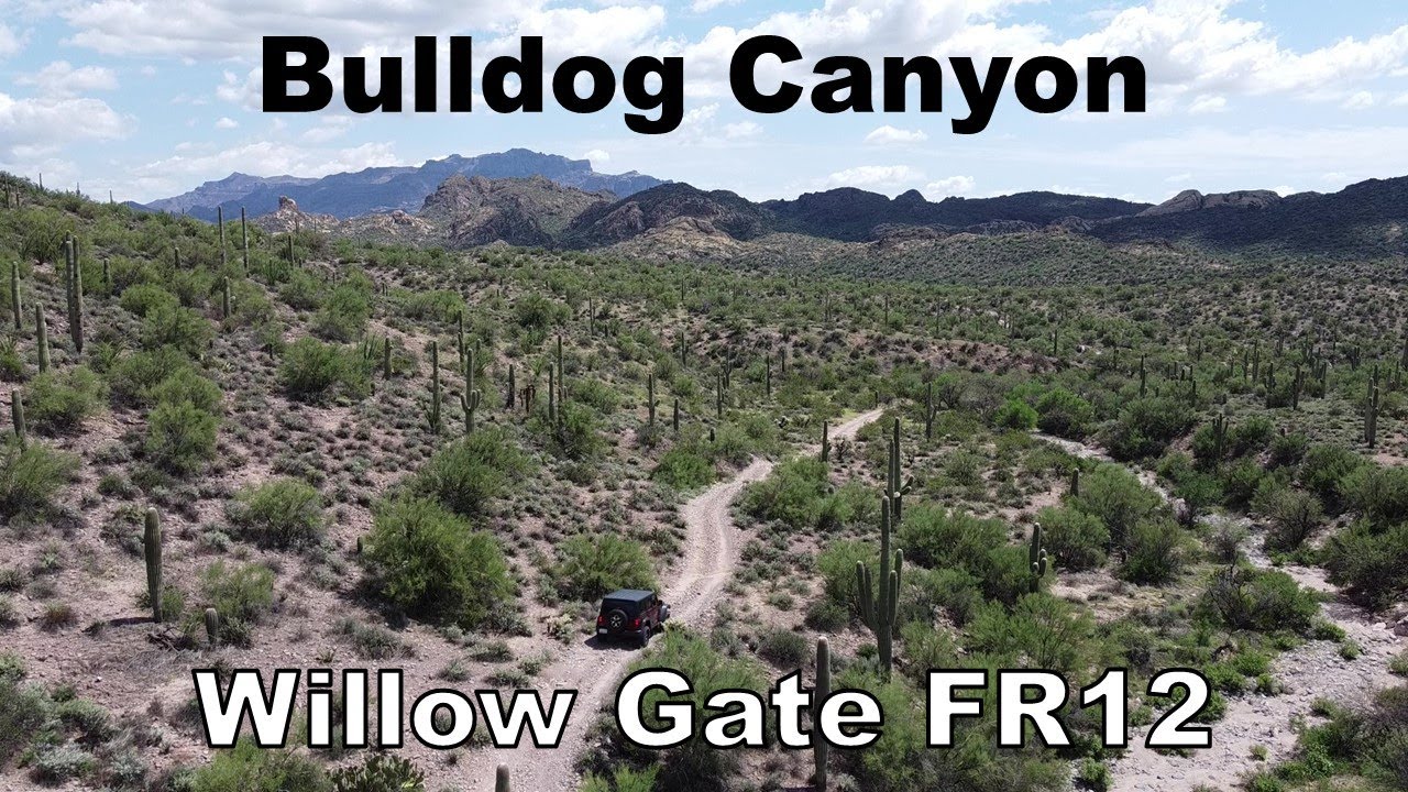 Bulldog Canyon Willow Gate FR12
