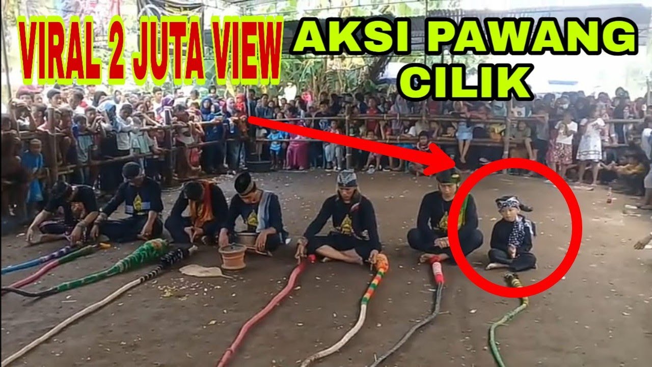 AKSI PAWANG KECIL NEW SINGO BARONG SEMARANG LIVE CIBUK LOR ULTAH FPS 1 / PAWANG'S CHILDREN'S PEOPLE