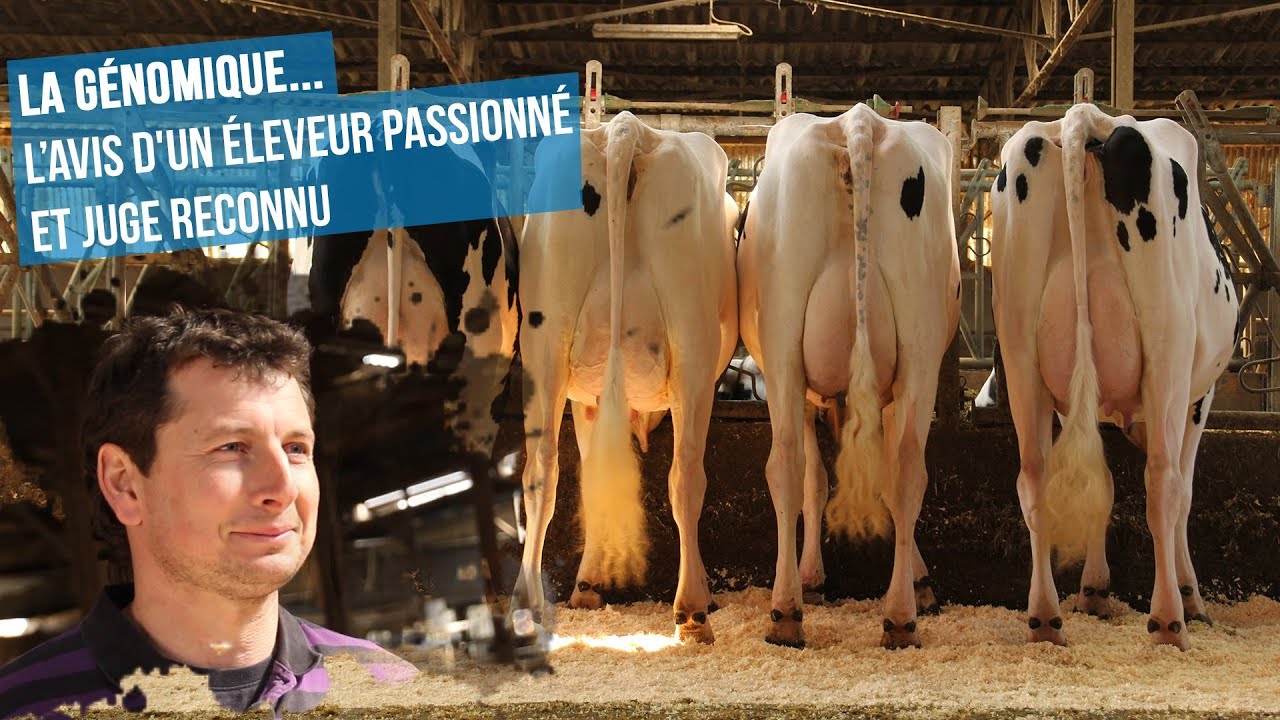 La génomique...l'avis d'un éleveur passionné et juge reconnu