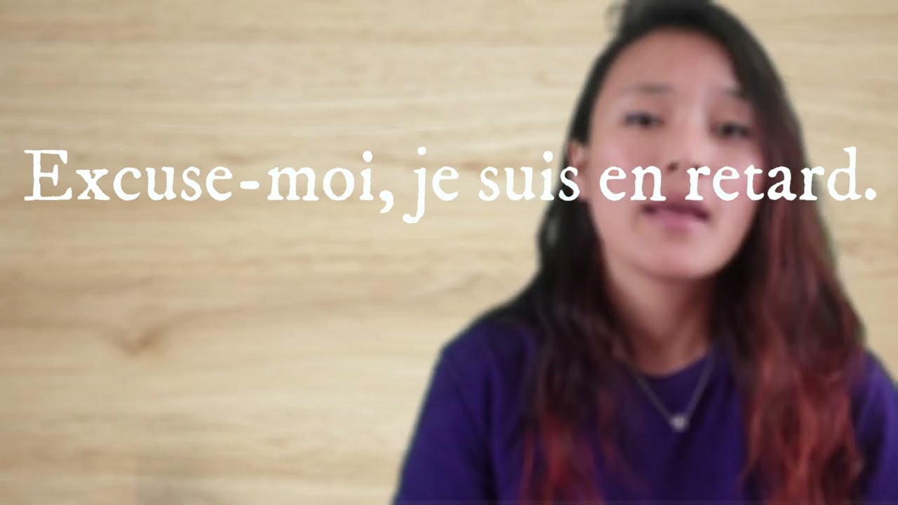 LA DIFFERENCE ENTRE TU/ VOUS