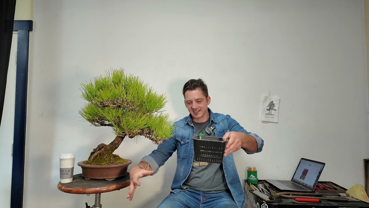 Bonsai 107: Bald Cypress Forest Planting