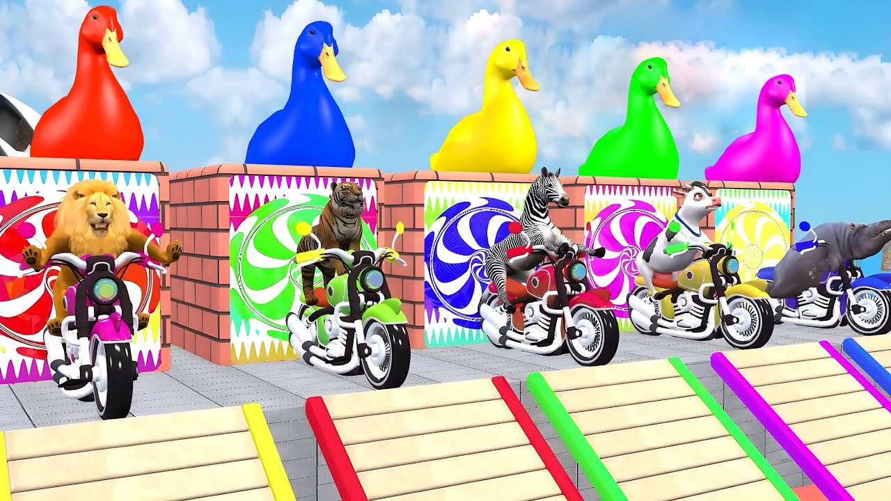 Long Slide Game With Cow Elephant Gorilla Hippopotamus Tiger 3d Animal Game Funny 3d Animals