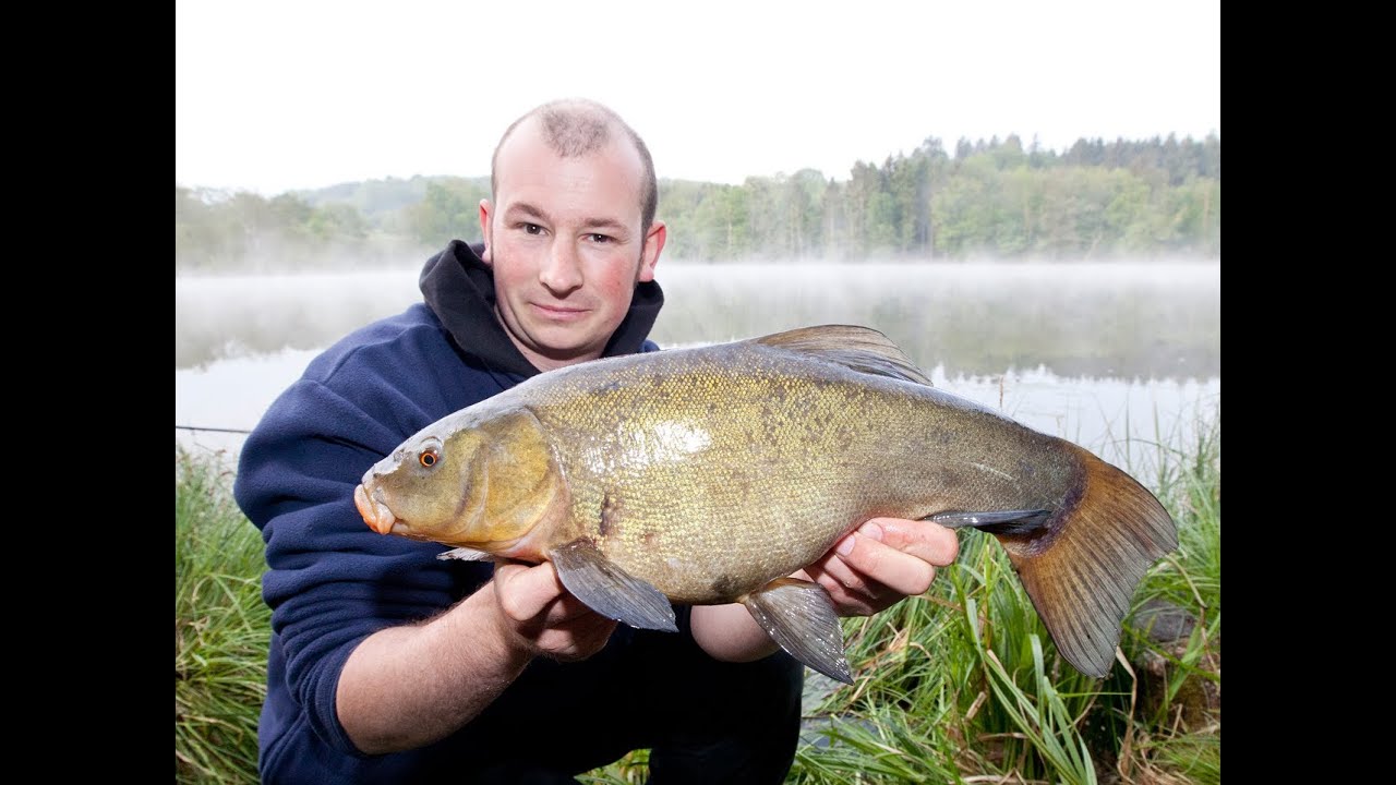 Angeln auf Schleien: Haken einfacher L&ouml;sen