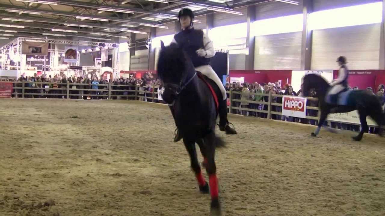 Flanders Horse Expo 2012 - Dark Laes, Yk Tjimme en Yk Tahmurath