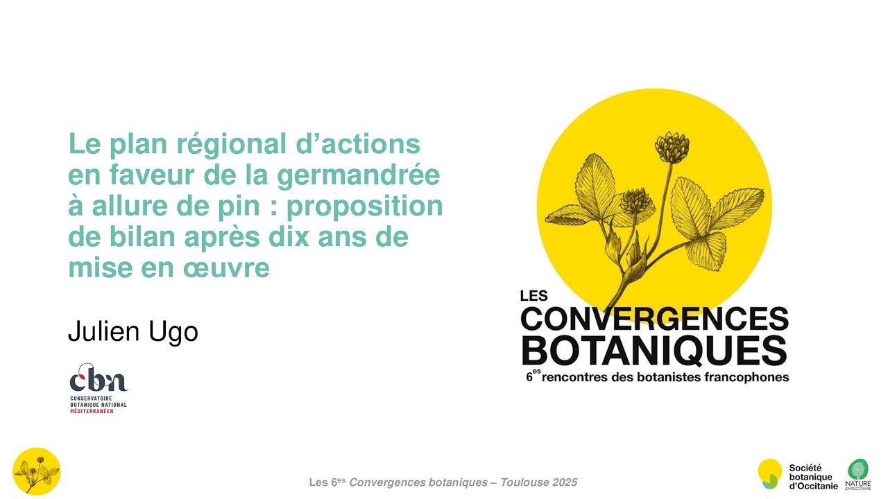 Convergences botaniques 2025 - 3. Plan d'action sur la germandrée à allure de pin (Julien Ugo)