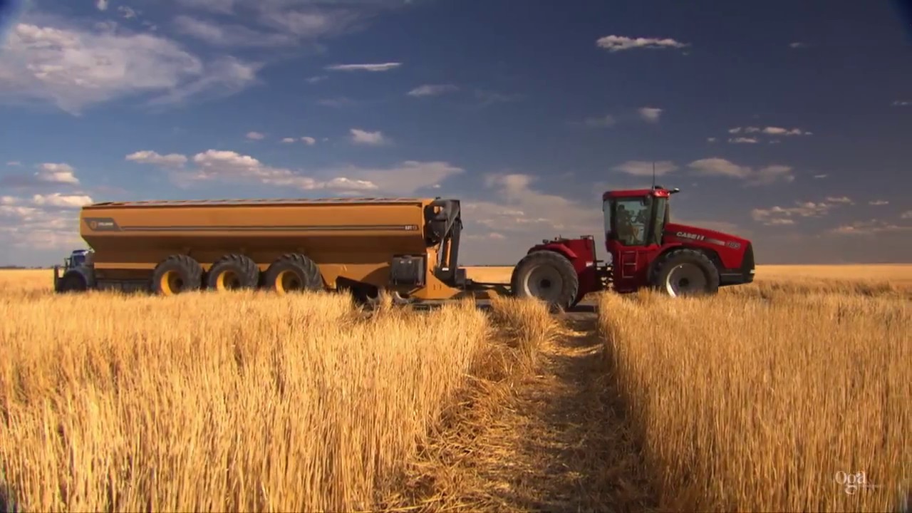 Coolamon Chaser Bins Harvest 2016