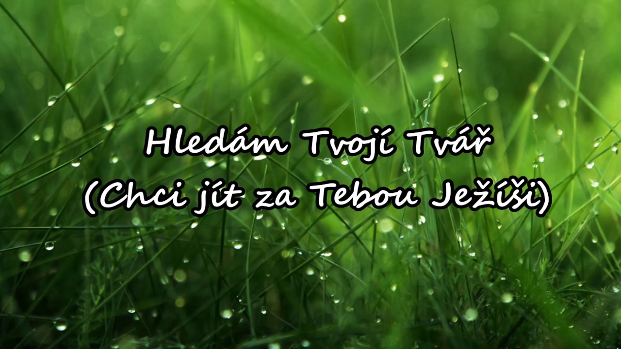 Hledám tvoji tvář (Chci jít za Tebou, Ježíši) - Křesťanské písně