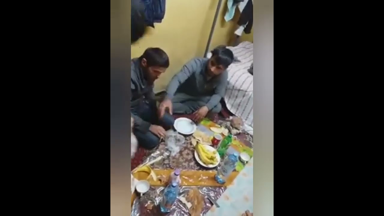 бачои саричашма.ГАРИБИ
