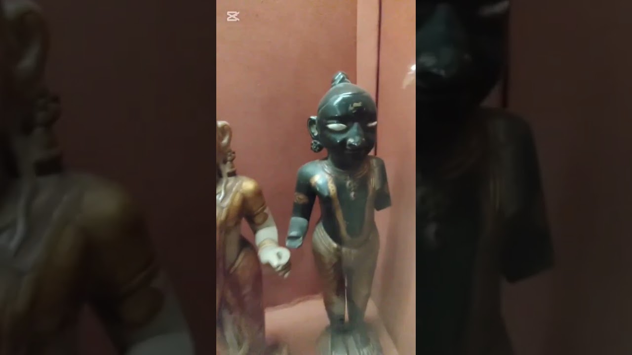Inside Lahore Museum 🏛️ | 5,000 Years of History in 60 Seconds part2