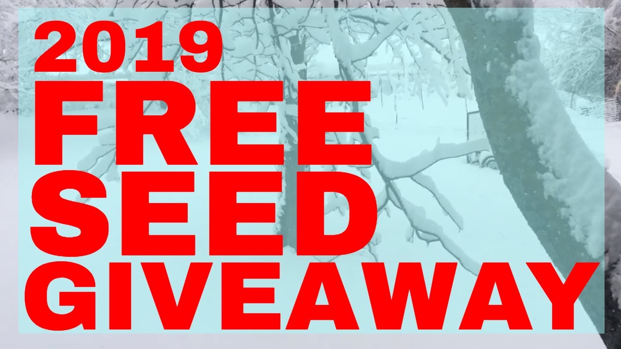 FREE SEED GIVEAWAY 2019 (closed)