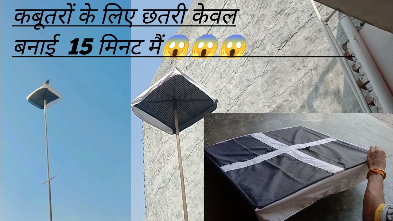 कबूतरों के लिए छतरी कैसे बनाएं|| 👇👇👇   how make umbrella for pigeon only 15min!! #viral #tranding