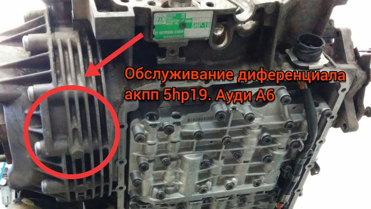 А6 Ц5. Проверка уровня масла в дифференциале  Акпп 5hp19