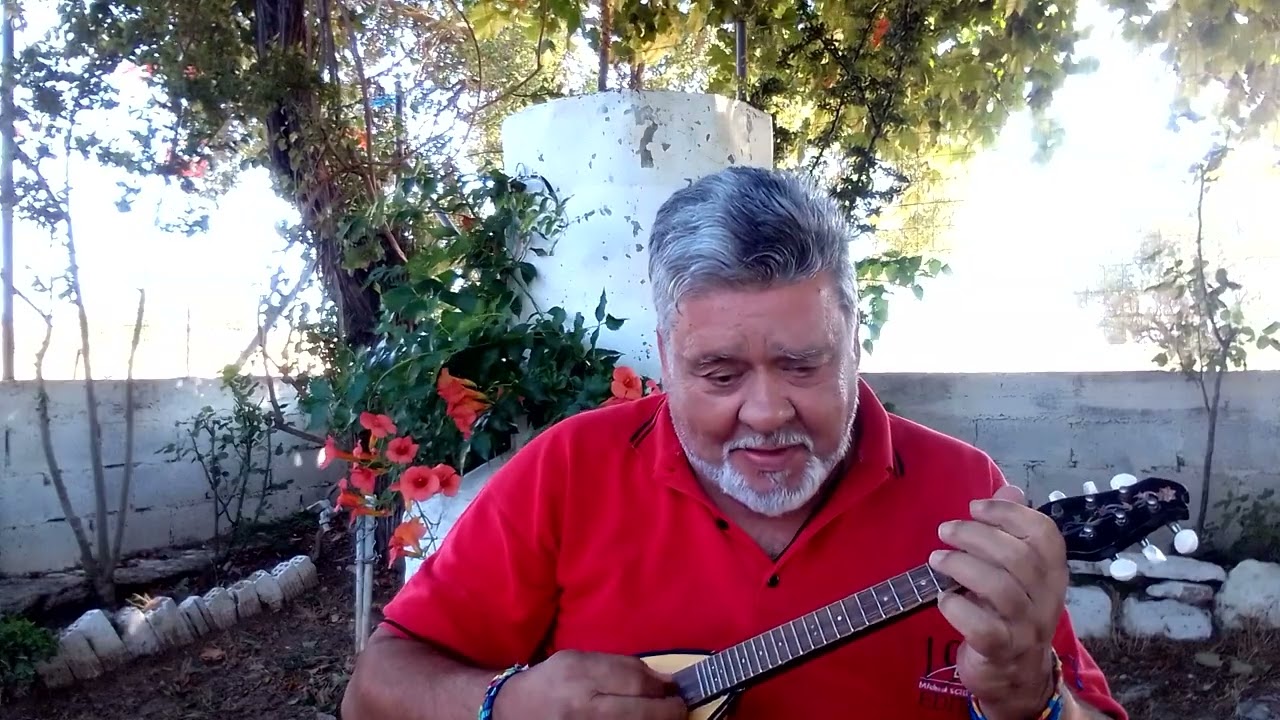 Αγόρασα δύο πετονιές*. ΑΝΔΡΕΑΣ ΞΕΝΟΣ- μπαγ.φωνή- Π.Τσαουσάκης- στίχοι......Μουφλουζέλης Γ.