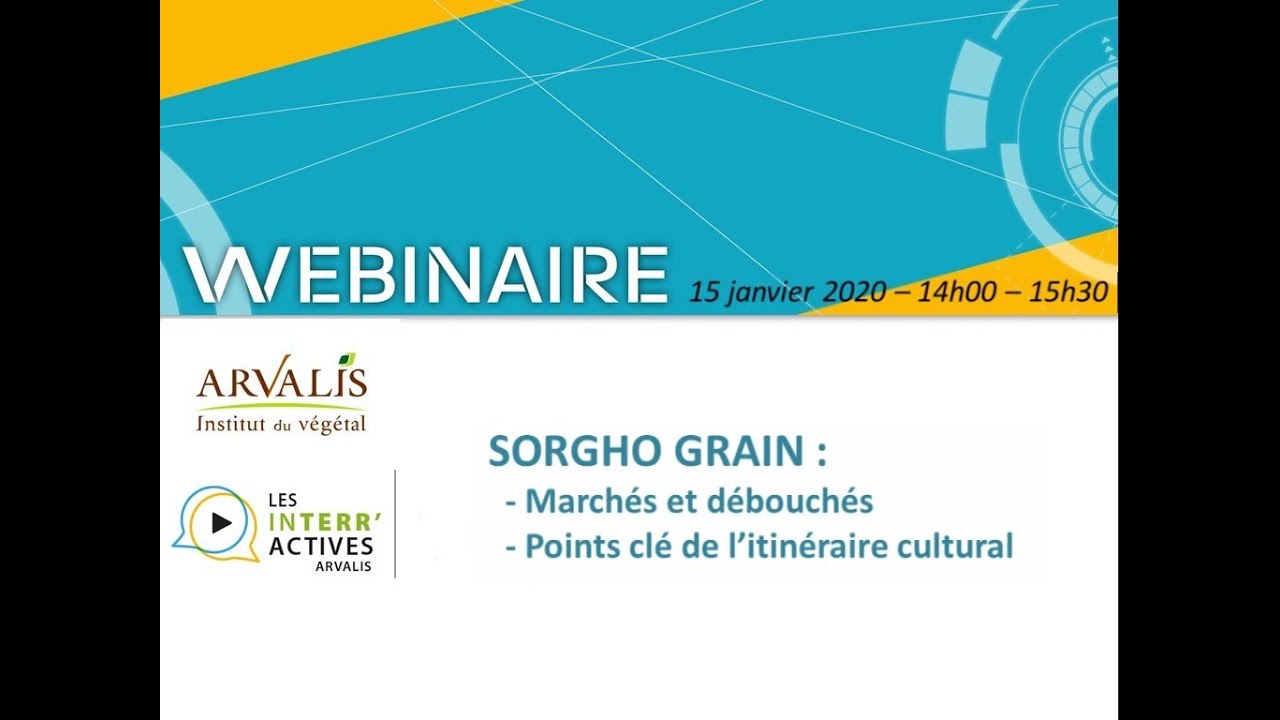 Sorgho grain : march&eacute;s et d&eacute;bouch&eacute;s / Points cl&eacute; de l'itin&eacute;raire cultural