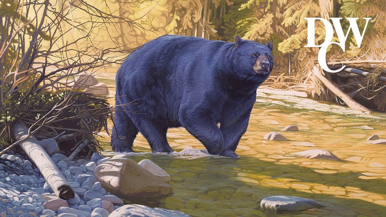 Riverside Rendezvous - Encounter with a Black Bear - Inspired Creations #4